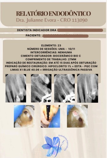 Modelo de Relatório